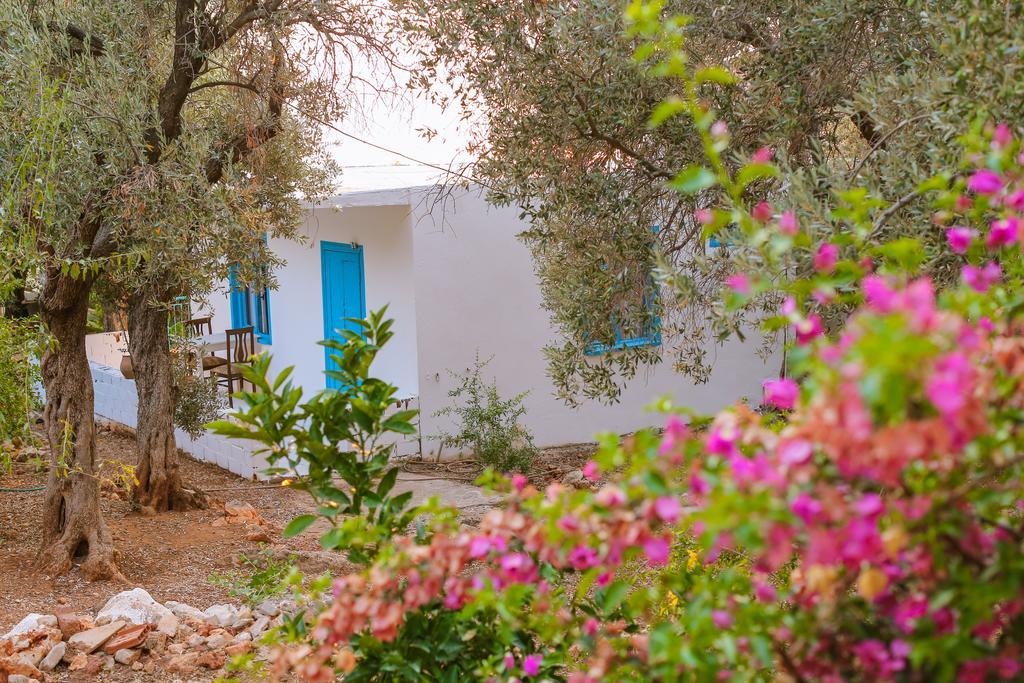Kaktus Cakil Villa Kaş Ngoại thất bức ảnh