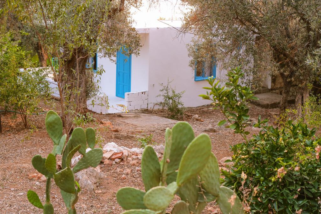 Kaktus Cakil Villa Kaş Ngoại thất bức ảnh